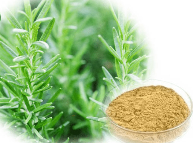 Plant Extract