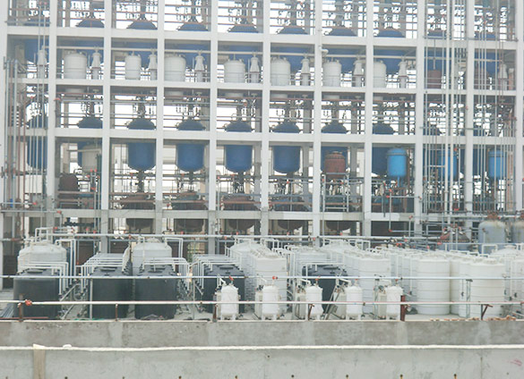 Bengbu Dongli Chemical Factory