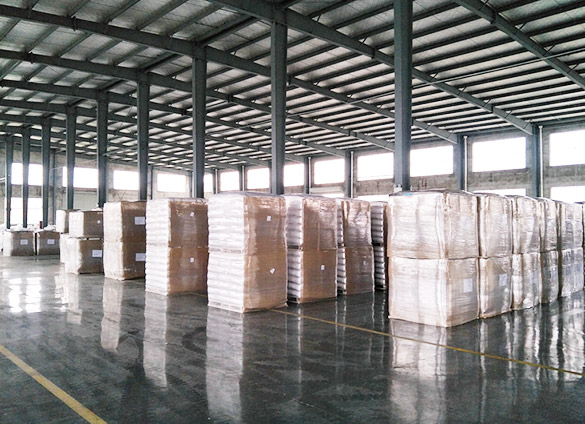 Bengbu Dongli Chemical Factory