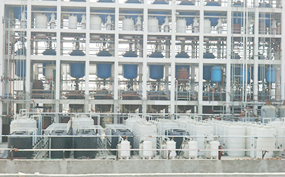 Dongli Chemical Factory
