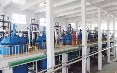 Dongli Chemical Factory