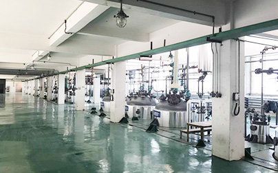 Dongli Chemical Factory