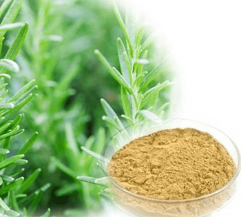 Plant Extract & Separation